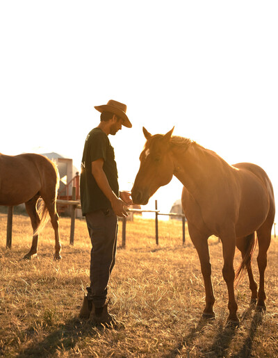 Man standing with horses at sunset